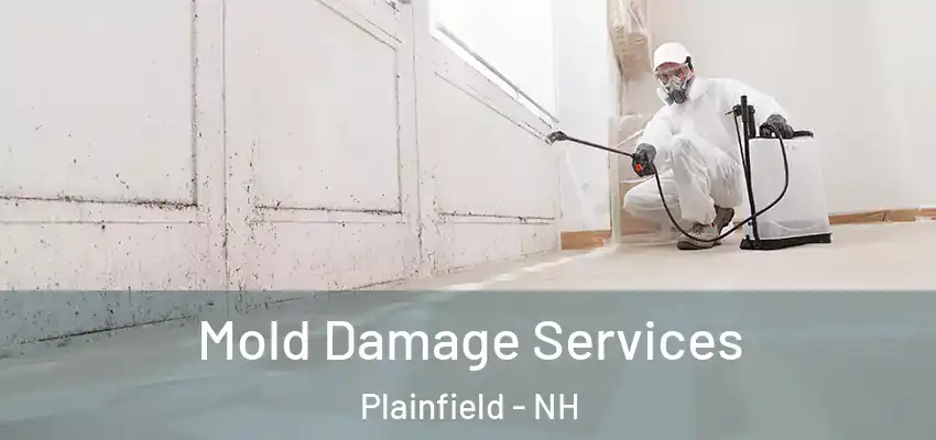 Mold Damage Services Plainfield - NH