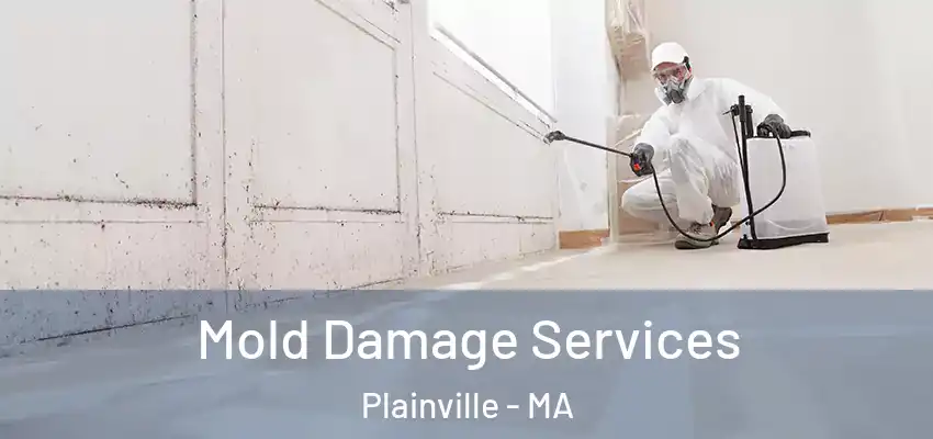 Mold Damage Services Plainville - MA