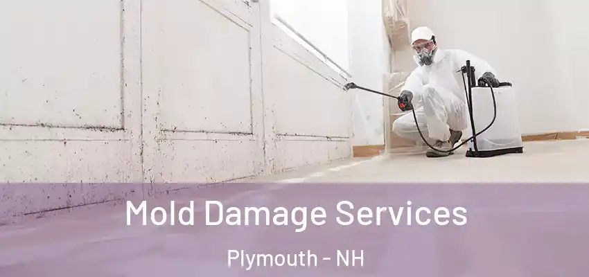  Mold Damage Services Plymouth - NH