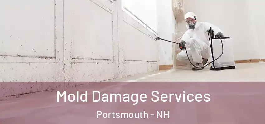  Mold Damage Services Portsmouth - NH