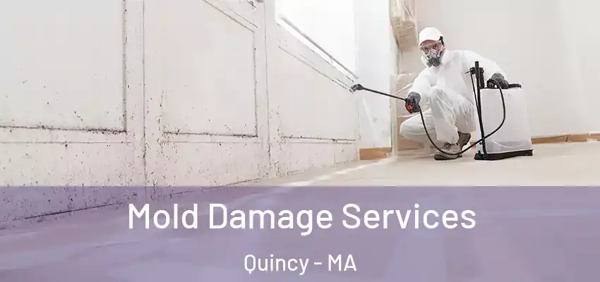 Mold Damage Services Quincy - MA