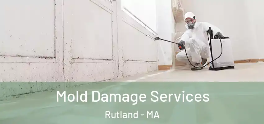  Mold Damage Services Rutland - MA