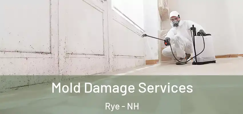 Mold Damage Services Rye - NH
