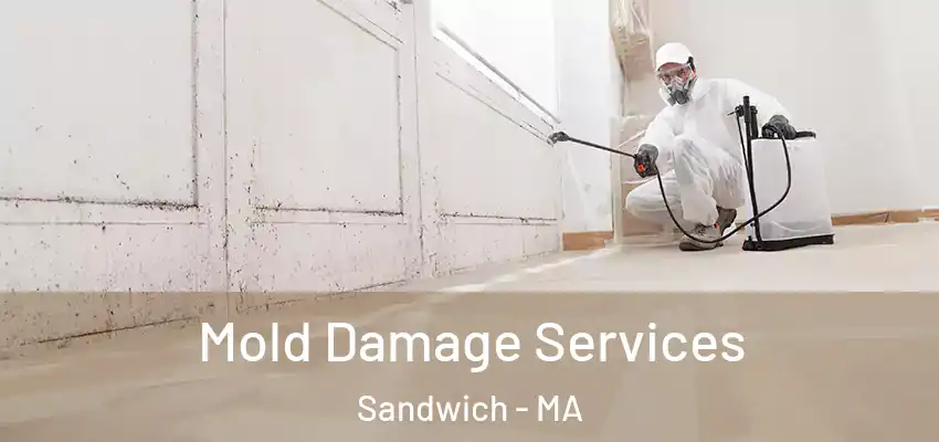  Mold Damage Services Sandwich - MA
