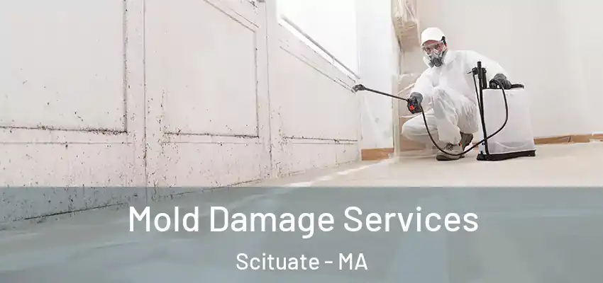  Mold Damage Services Scituate - MA