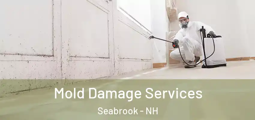 Mold Damage Services Seabrook - NH