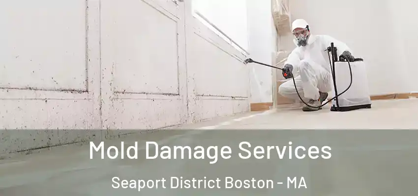  Mold Damage Services Seaport District Boston - MA