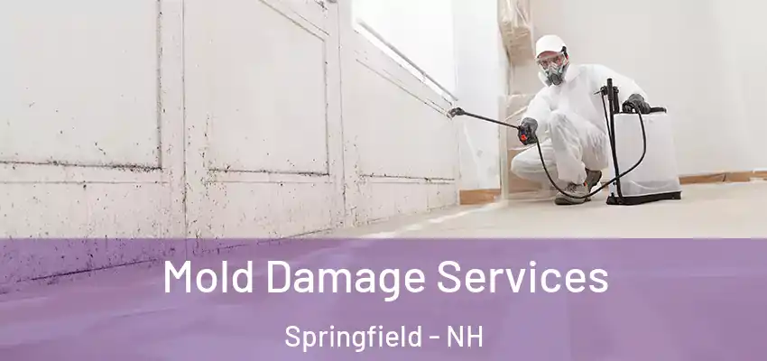 Mold Damage Services Springfield - NH