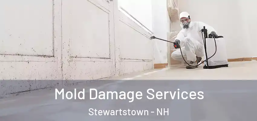  Mold Damage Services Stewartstown - NH