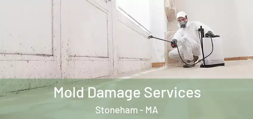 Mold Damage Services Stoneham - MA