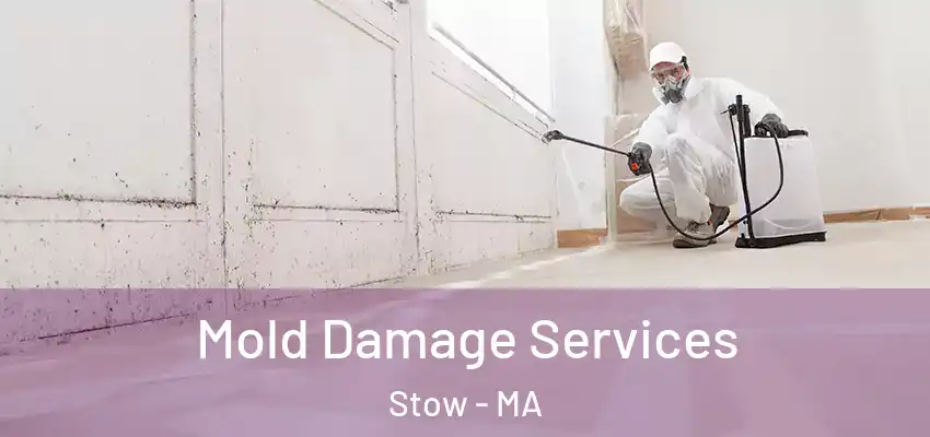 Mold Damage Services Stow - MA