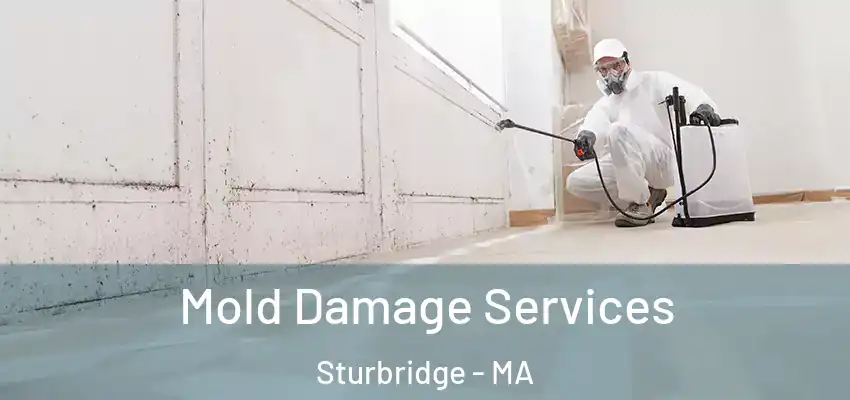 Mold Damage Services Sturbridge - MA