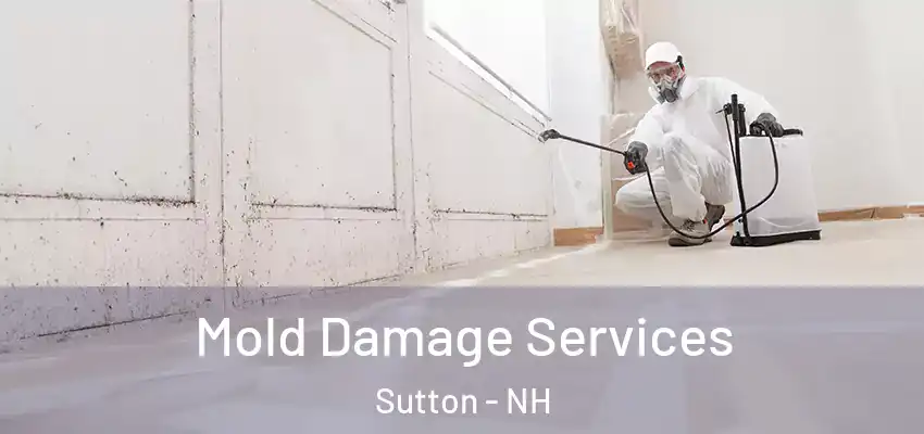 Mold Damage Services Sutton - NH