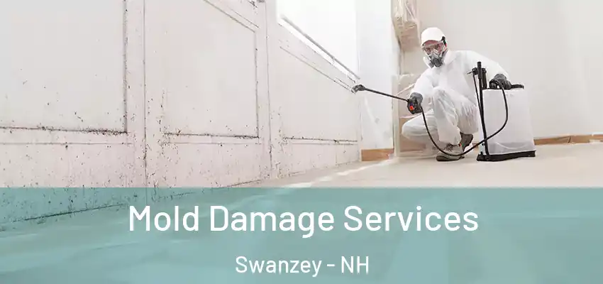  Mold Damage Services Swanzey - NH