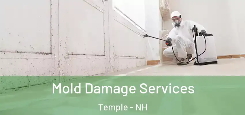 Mold Damage Services Temple - NH