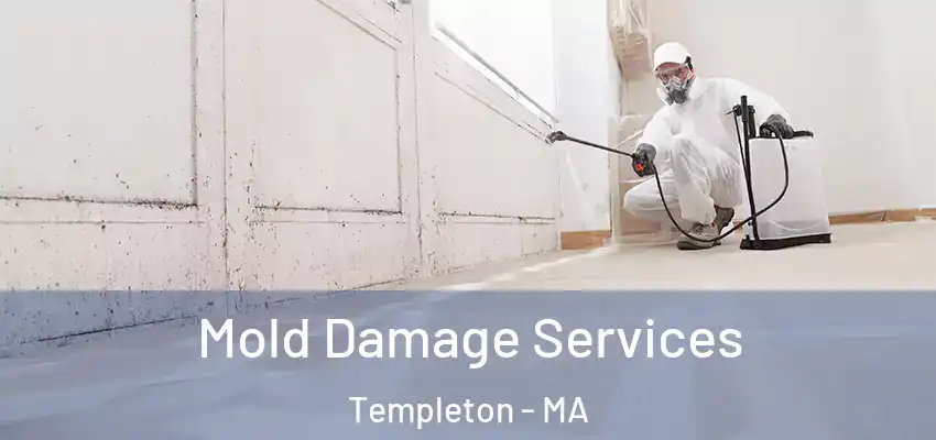Mold Damage Services Templeton - MA