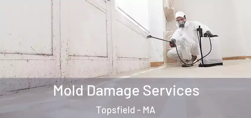 Mold Damage Services Topsfield - MA