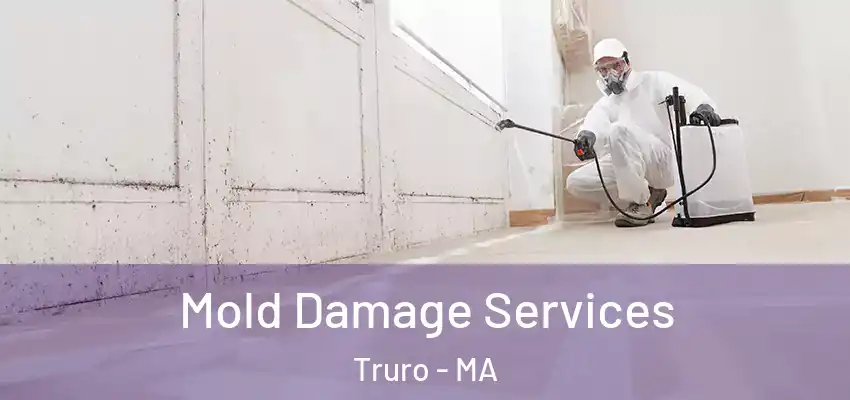  Mold Damage Services Truro - MA