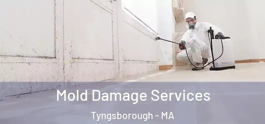 Mold Damage Services Tyngsborough - MA