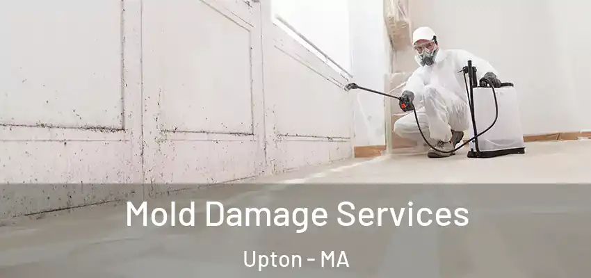  Mold Damage Services Upton - MA