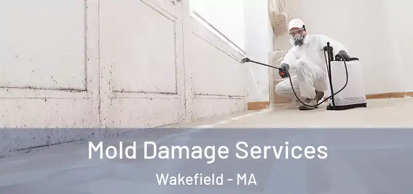  Mold Damage Services Wakefield - MA