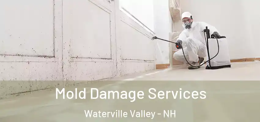 Mold Damage Services Waterville Valley - NH