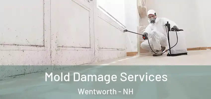Mold Damage Services Wentworth - NH