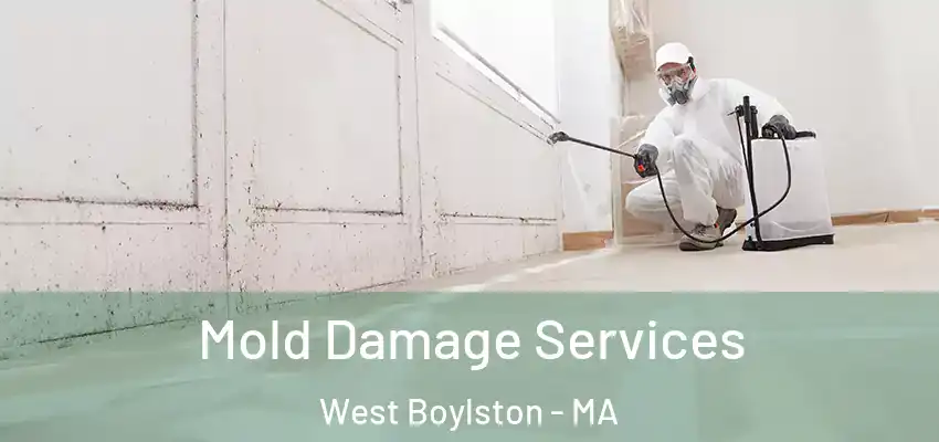 Mold Damage Services West Boylston - MA