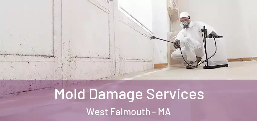  Mold Damage Services West Falmouth - MA