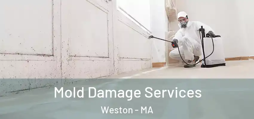 Mold Damage Services Weston - MA