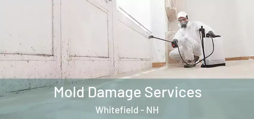 Mold Damage Services Whitefield - NH