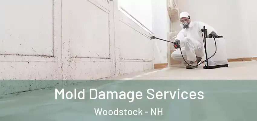  Mold Damage Services Woodstock - NH