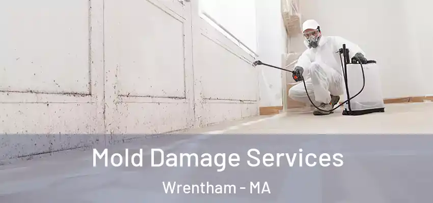 Mold Damage Services Wrentham - MA
