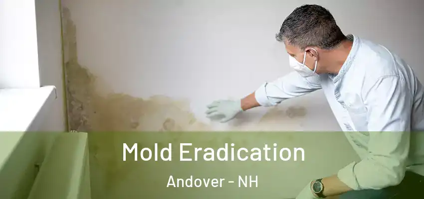 Mold Eradication Andover - NH