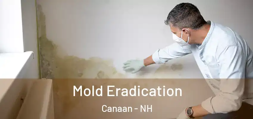 Mold Eradication Canaan - NH