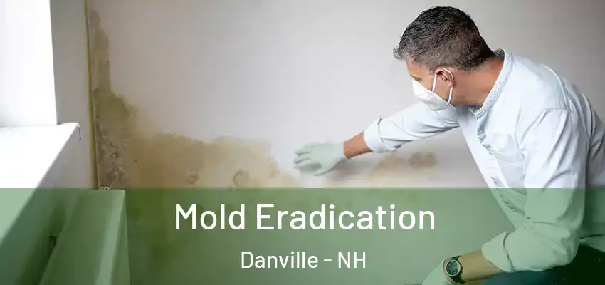 Mold Eradication Danville - NH