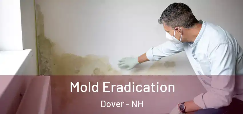 Mold Eradication Dover - NH