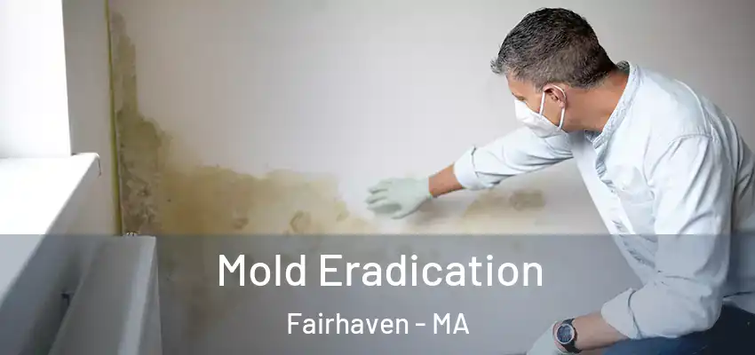  Mold Eradication Fairhaven - MA
