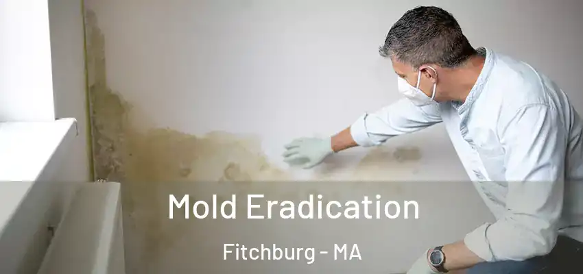 Mold Eradication Fitchburg - MA