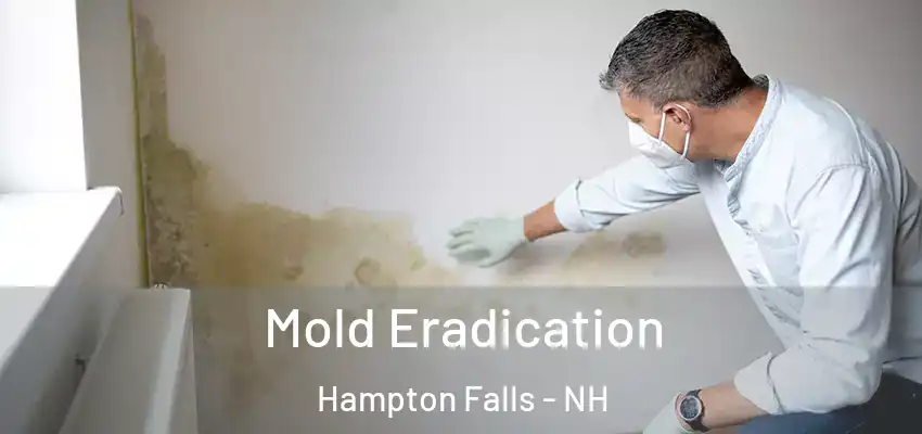 Mold Eradication Hampton Falls - NH