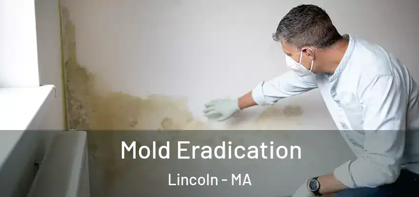 Mold Eradication Lincoln - MA