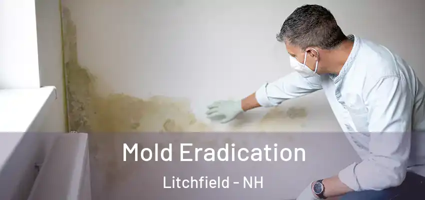 Mold Eradication Litchfield - NH