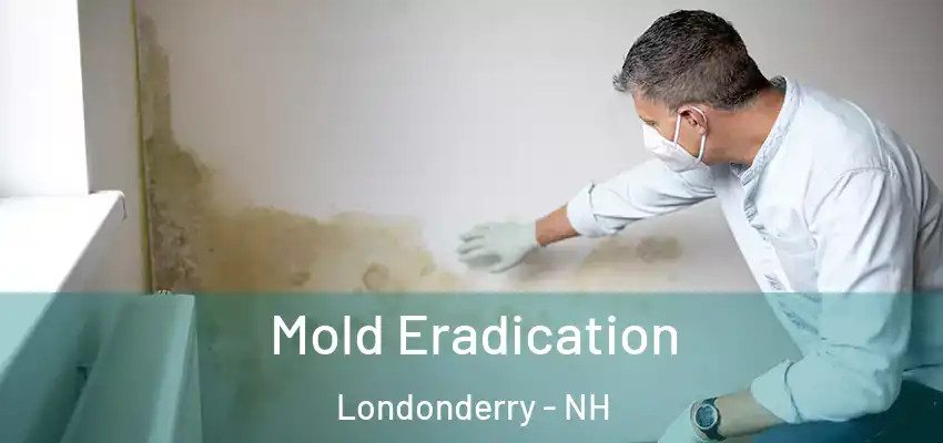 Mold Eradication Londonderry - NH