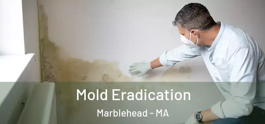  Mold Eradication Marblehead - MA