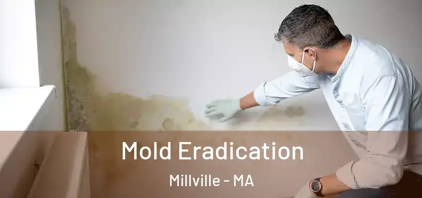 Mold Eradication Millville - MA