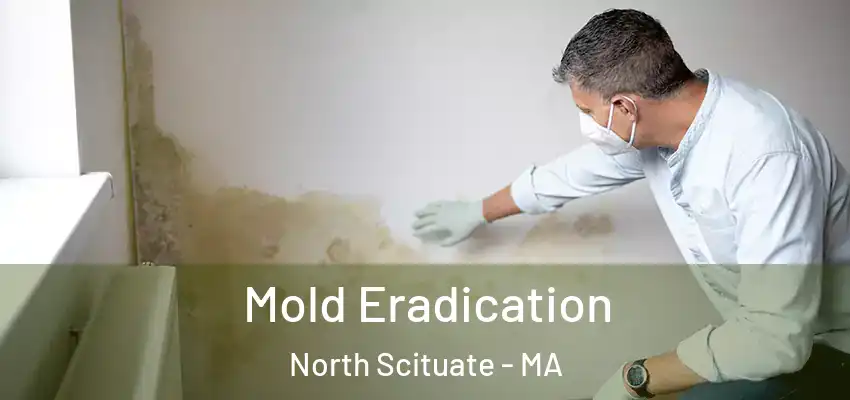  Mold Eradication North Scituate - MA