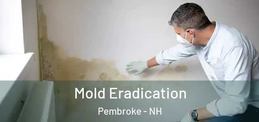 Mold Eradication Pembroke - NH