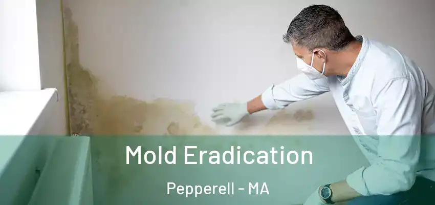  Mold Eradication Pepperell - MA