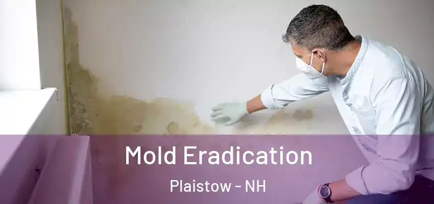 Mold Eradication Plaistow - NH