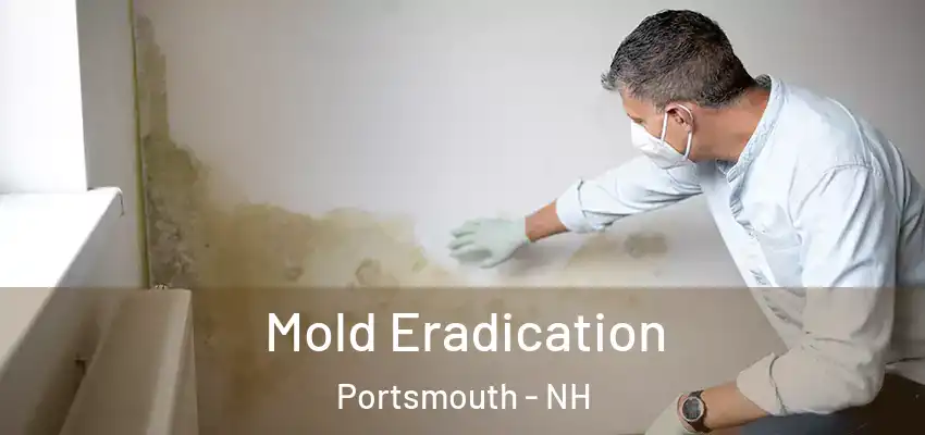  Mold Eradication Portsmouth - NH
